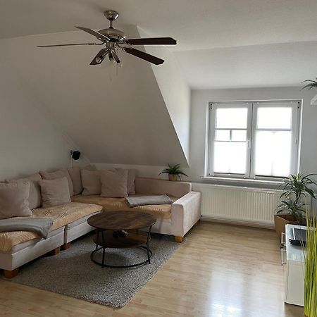 ראדבול Bambus, Jungle, Dachterrasse & Bequem Bis Zentrum מראה חיצוני תמונה