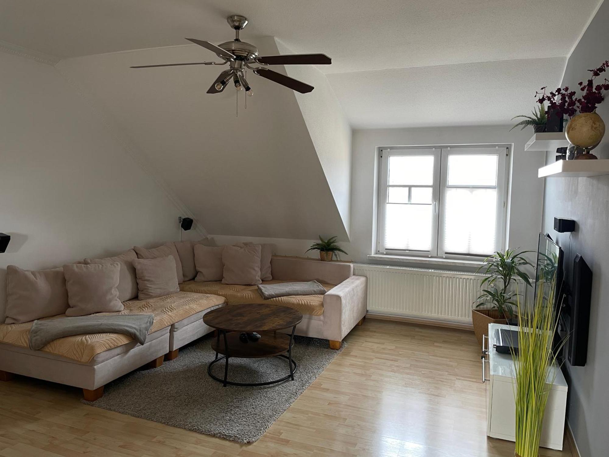 ראדבול Bambus, Jungle, Dachterrasse & Bequem Bis Zentrum מראה חיצוני תמונה